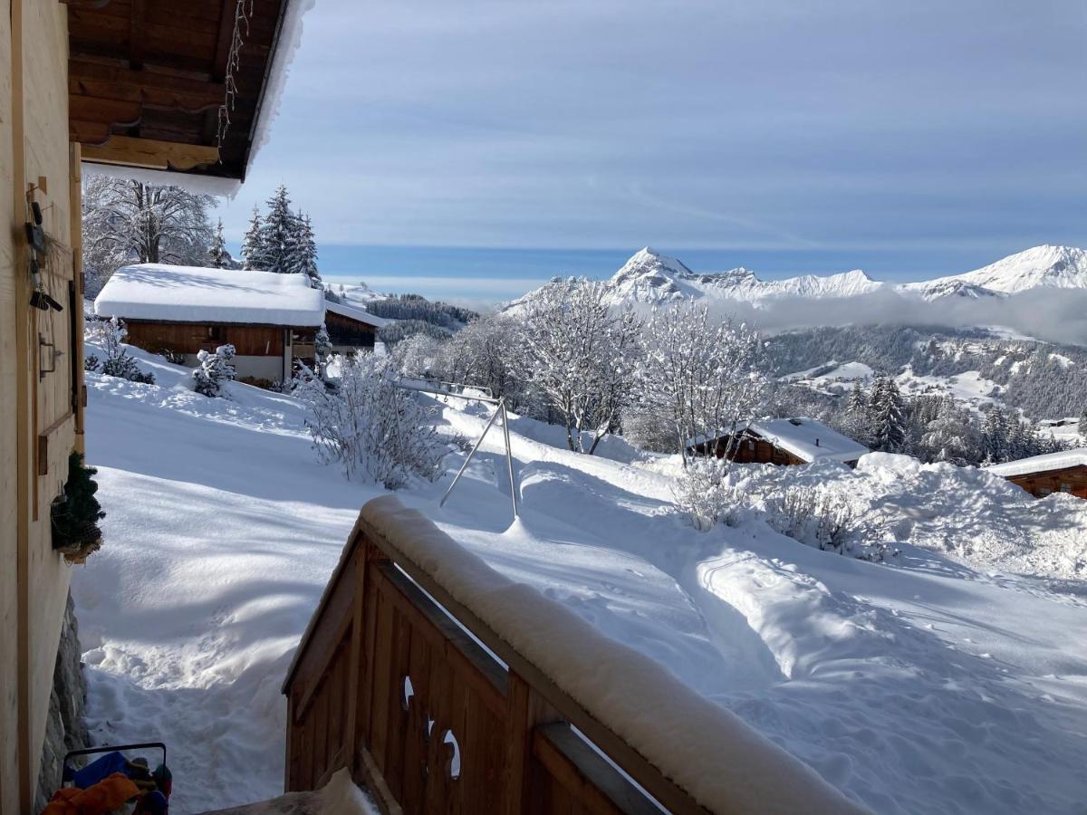 Chalets Savoie Les Chalets D'Heidi Notre-Dame-de-Bellecombe Exterior photo