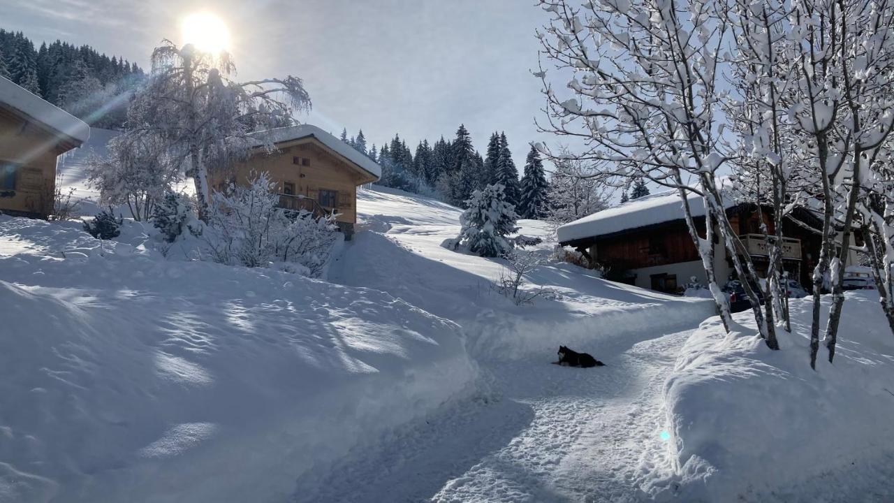 Chalets Savoie Les Chalets D'Heidi Notre-Dame-de-Bellecombe Exterior photo