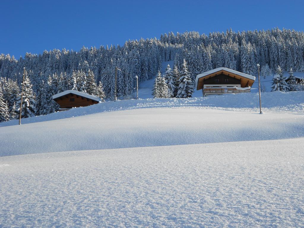 Chalets Savoie Les Chalets D'Heidi Notre-Dame-de-Bellecombe Exterior photo