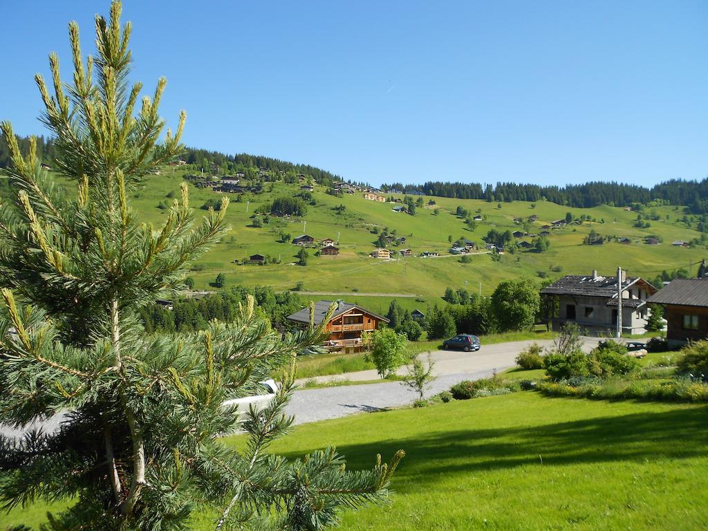 Chalets Savoie Les Chalets D'Heidi Notre-Dame-de-Bellecombe Exterior photo